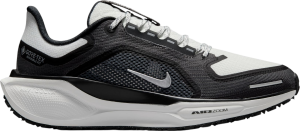 Chaussures de running Nike Pegasus 41 GORE-TEX