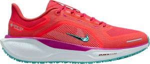 Chaussures de running Nike Pegasus 41 GORE-TEX