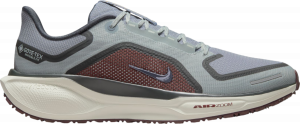 Chaussures de running Nike Pegasus 41 GORE-TEX