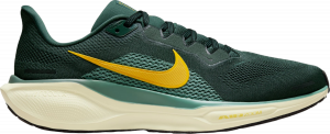 Chaussures de running Nike Pegasus 41