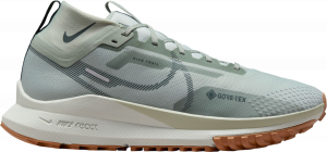 Chaussures de Nike Pegasus Trail 4 GORE-TEX