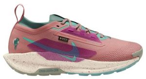 Nike Pegasus Trail 5 GTX - homme - rose