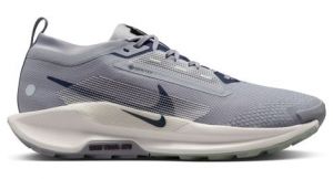 Nike Pegasus Trail 5 GTX - homme - gris