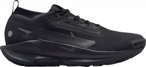 Chaussures de Nike Pegasus Trail 5 GORE-TEX