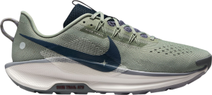 Chaussures de Nike Pegasus Trail 5