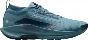 Chaussures de Nike Pegasus Trail 5 GORE-TEX