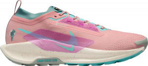 Chaussures de Nike Pegasus Trail 5 GORE-TEX