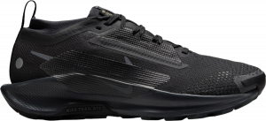 Chaussures de Nike Pegasus Trail 5 GORE-TEX