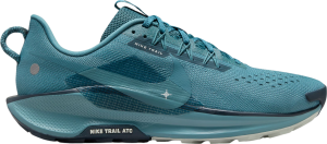 Chaussures de Nike Pegasus Trail 5