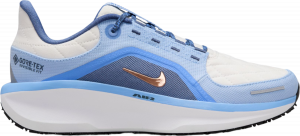 Chaussures de running Nike Winflo 11 GORE-TEX