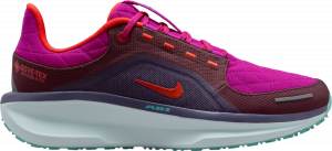 Chaussures de running Nike Winflo 11 GORE-TEX SE