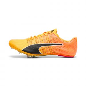 Chaussures d'athlétisme Puma Teamwear evoSPEED Future 6