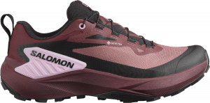 Chaussures de trail Salomon GENESIS GTX W