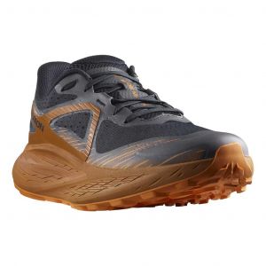 Chaussures Salomon Glide Max TR noir marron - 46