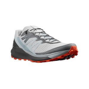 Baskets Salomon Sense Ride 4 Gris AW21