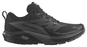 Salomon Sense Ride 5 Gore-Tex - femme - noir