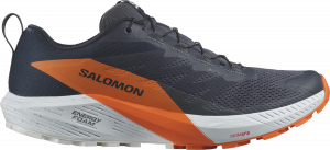 Chaussures de trail Salomon SENSE RIDE 5 GTX