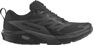 Chaussures de trail Salomon SENSE RIDE 5 GTX