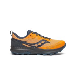 Chaussures de trail Saucony Peregrine 14 GTX