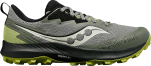 Chaussures de trail Saucony PEREGRINE 14 GTX