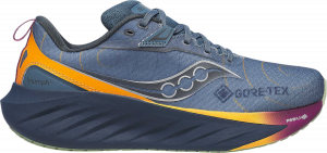 Chaussures de running Saucony TRIUMPH 22 GTX