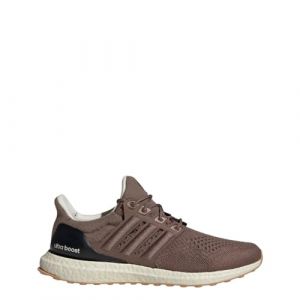 Adidas Ultraboost 1.0 Chaussures