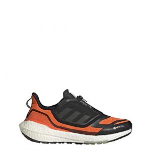 adidas Chaussures de course Ultraboost 22 GTX pour homme