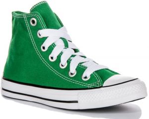 Converse Chuck Taylor All Star Sketch Vert 37.5