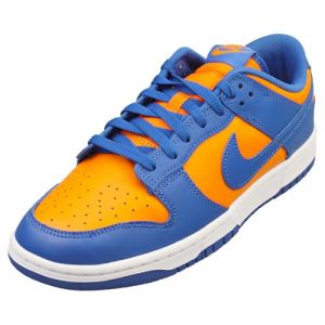 Nike Dunk Low Retro Chaussures pour homme (DV0833-800