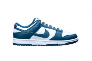 NIKE Homme Dunk Low Retro Basket