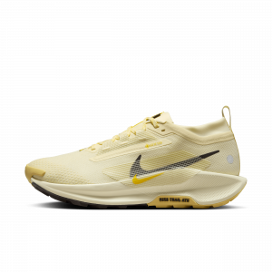 Chaussure de trail imperméable Nike Pegasus Trail 5 GORE-TEX pour homme - Marron