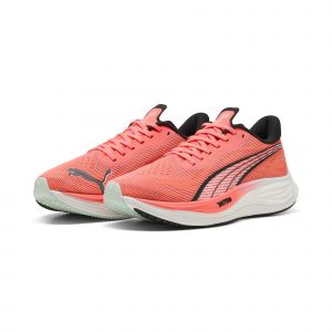 Chaussures de running Velocity NITRO? 3 Homme