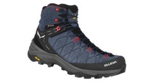 Salewa Alp Trainer 2 Mid Gore-Tex - femme