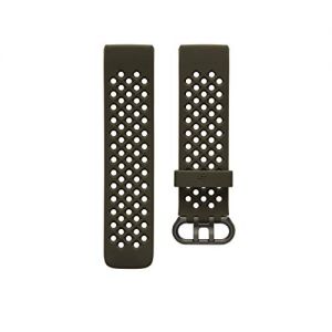 Fitbit Charge 4 Sport Band Accessory