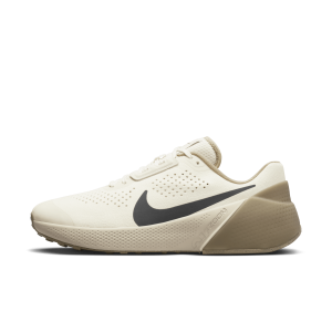 Chaussure d'entraînement Nike Air Zoom TR 1 pour homme - Gris