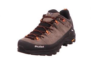 Salewa Homme Alp Trainer 2 GTX M Chaussures de randonnée