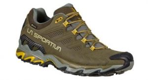 Chaussures de running trail  ultra raptor ii gtx vert homme