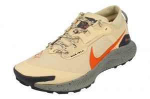 Nike Homme Pegasus 3 Gore-Tex Men's Waterproof Trail Running Shoes