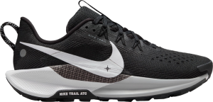 Chaussures de Nike Pegasus Trail 5