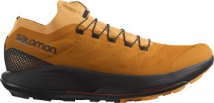 Chaussures de trail Salomon PULSAR TRAIL/PRO