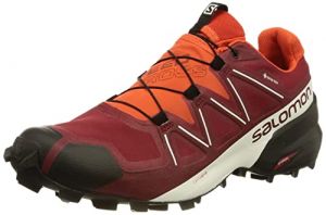 Salomon Speedcross 5 Gore-Tex Chaussures Imperméables de Trail Running pour Homme