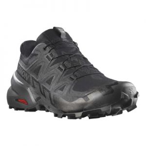 Chaussures Salomon Speedcross 6 GORE-TEX noir charbon - 49(1/3)