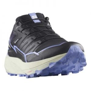 Chaussures Salomon Thundercross GORE-TEX noir bleu femme - 44