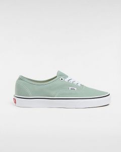 VANS Chaussures Color Theory Authentic (color Theory Iceberg Green) Unisex Vert, Taille 47